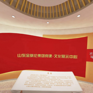 VR党建 山东金蔡伦集团党建文化展